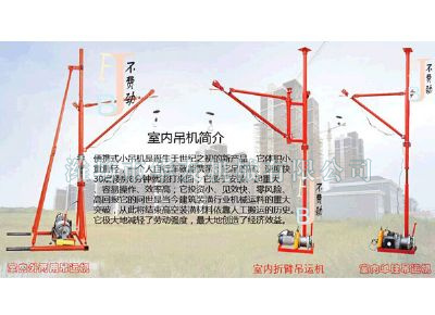 點擊查看詳細信息<br>標題：華友機械室內(nèi)外通用小吊機 閱讀次數(shù)：9184